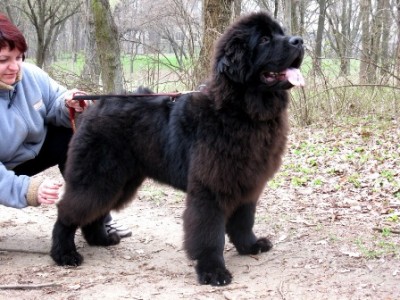  апрель 2010 011.jpg