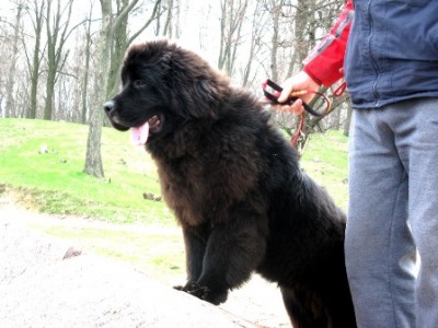  апрель 2010 016.jpg