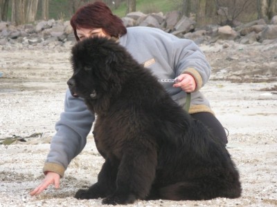  апрель 2010 074.jpg