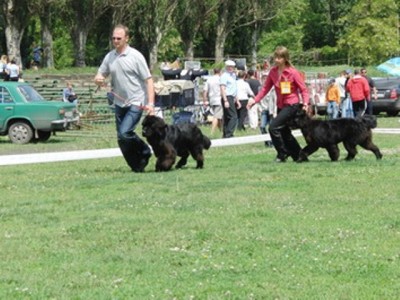  ЗлатБ+Мыша 055.JPG