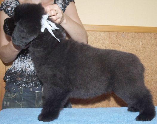  всех сил_уменьш.jpg