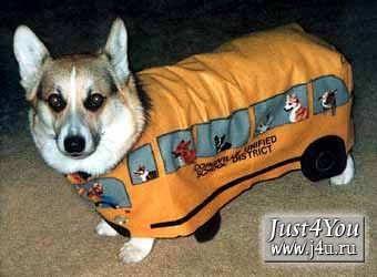 1182504123_dogcostumes010.jpg