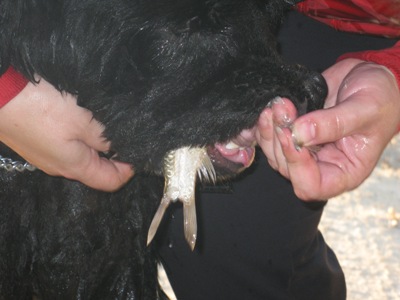 . рыбалка 009.jpg