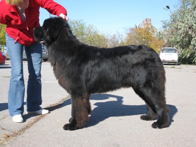  осень 2010 027.jpg