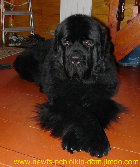 P1460327 - копия - копия.jpg