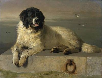Sir_Edwin_Landseer_A_Member_of_the_Humane_Society.jpg