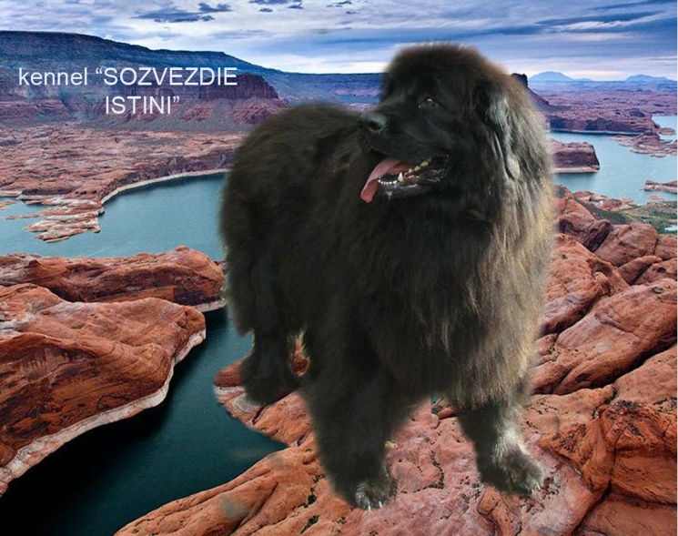  попирает камни.jpg