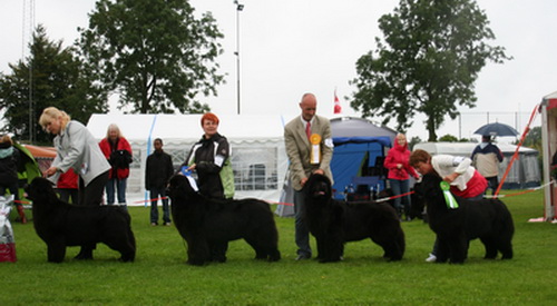  открытый класс.jpg