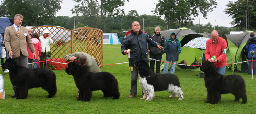  класс чемпионов 22.07.2011.jpg