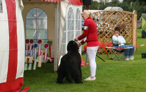 1 Morten Minstemann.jpg