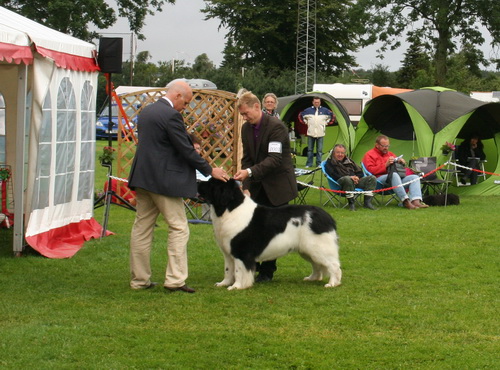 3 Merufe`s Keanan Kang (open).jpg