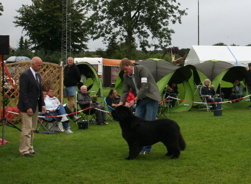 N4 Merufe`s Last Mohawk.jpg