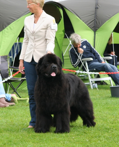 6 Blacksails Lord Gonzo.jpg