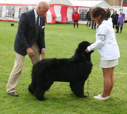 8 Black Avveneza`s Belive In Me.jpg