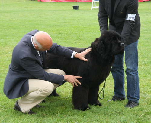 10 Joy To The World Forshadowseternity.jpg