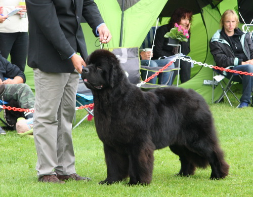 12 Cape Lewisporte Highway Patrol.jpg