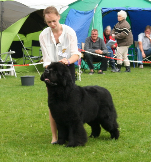 13  Squamish Root Beer.jpg
