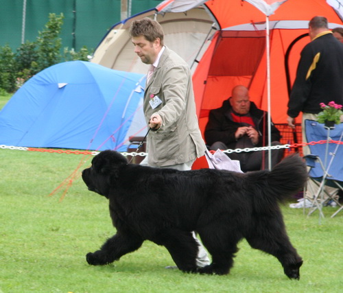 16 King Of Helluland Jast One Look.jpg