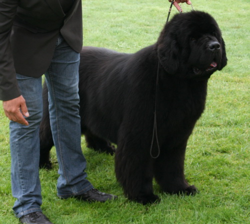 20 Bjornebandens Thad Jones.jpg