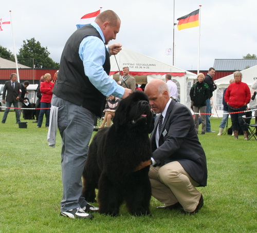 21 More Than Words De Anmalamual.jpg