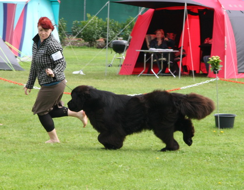 23 Moonshinelover`s Trip To Heaven.jpg