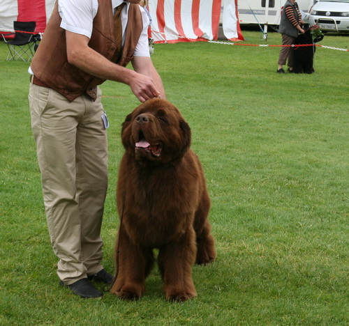 24 Egebak`s Little Beer.jpg