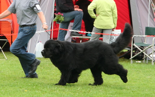 26 Little Bears`s No Doubt Agatha.jpg