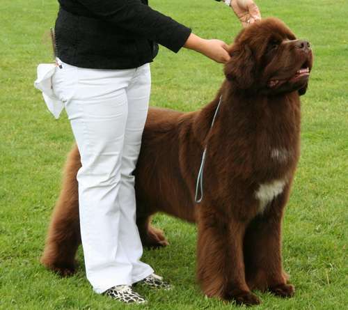 28 Paradeso I Am The Spirit.jpg