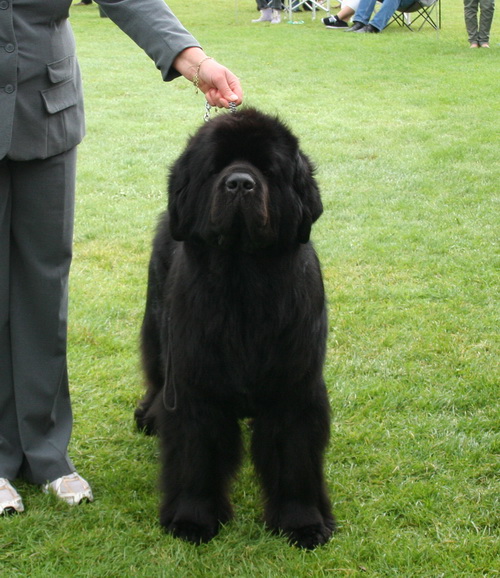 29 Merufe`s Lonely Rider.jpg