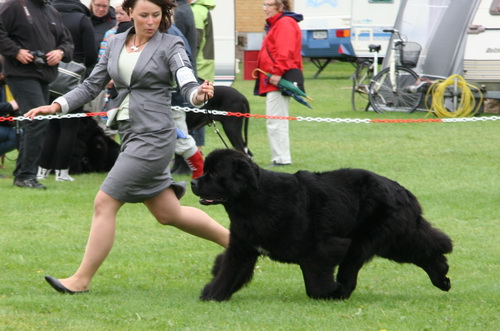 38 Bear`s Cove High Speed.jpg