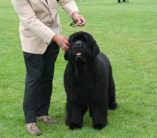 39 Twillin Gate King Of Helluland.jpg