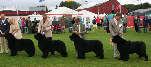  чемпионов 3.jpg