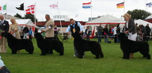  на ЛК окончательная расстановка..jpg