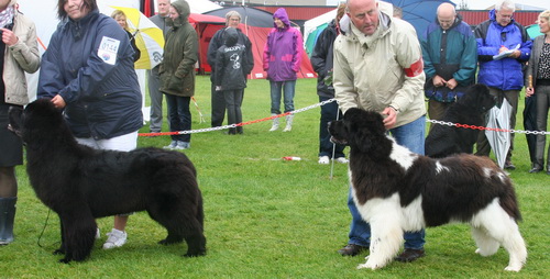 24.07. юниоры.jpg