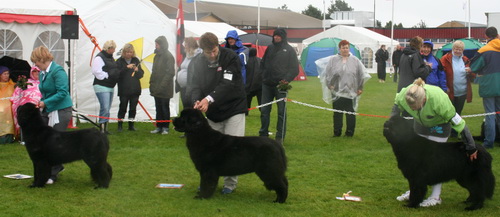 24.07. интермедия.jpg