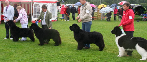 24.07. класс чемпионов.jpg