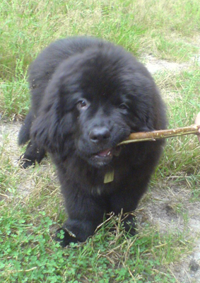  палочкой 2.jpg