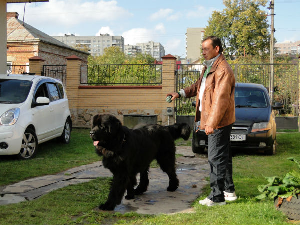  гостях у старшего брата.jpg