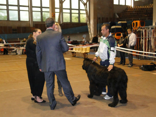  выход нашего папы в ринг.jpg