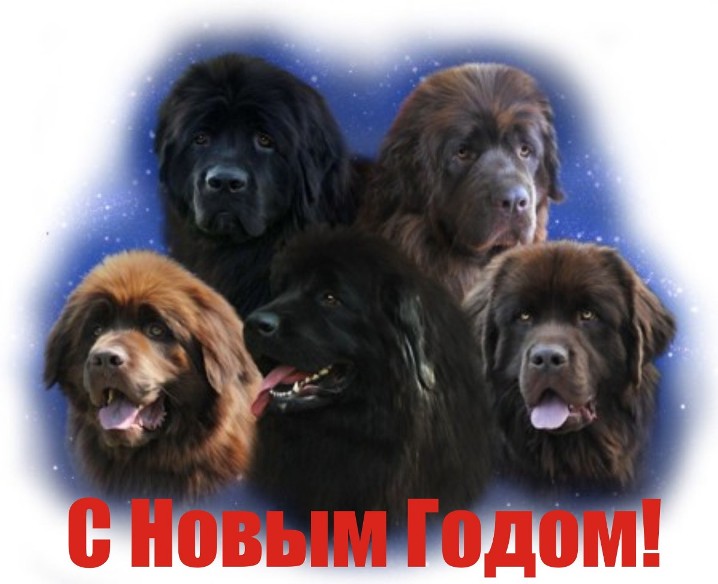  С новым годом.jpg