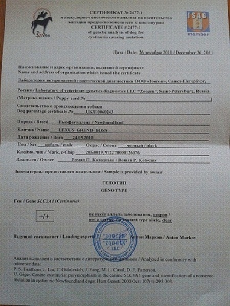 2012-05-31 20.47.34.jpg