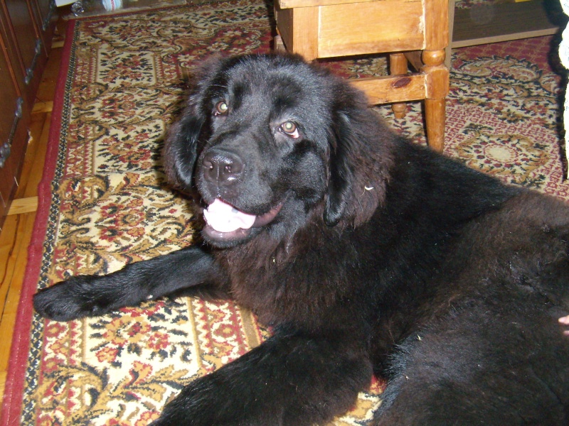  день дома.jpg