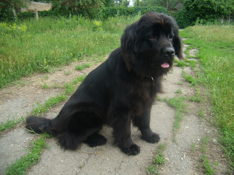 1 год 5 мес.jpg