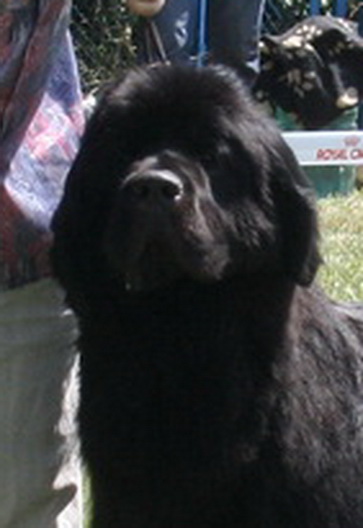 !В 17.06.2012 - 9.jpg