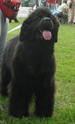  в Донецке.jpg