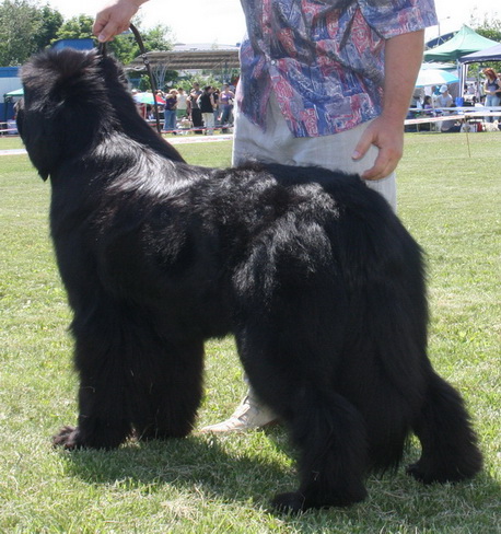 !В 17.06.2012 - 10.jpg