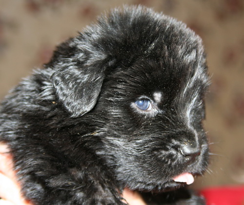 3 недели 1.jpg