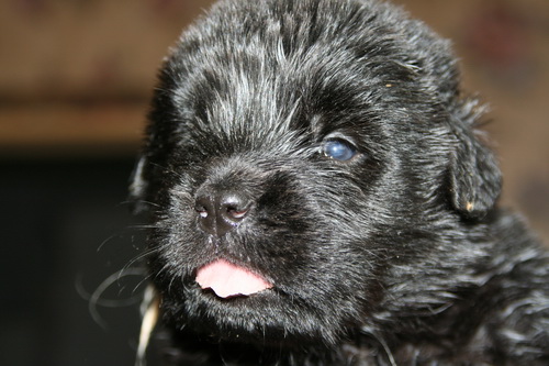 3 недели 2.jpg