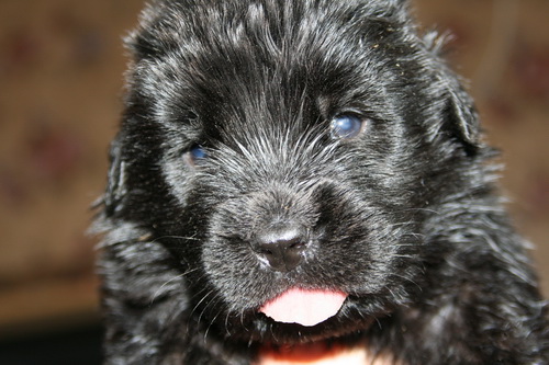 3 недели 3.jpg