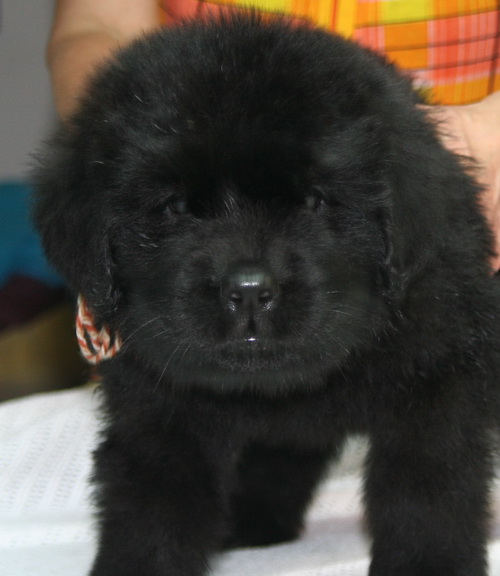  29.09.2012 -6 jpg.jpg